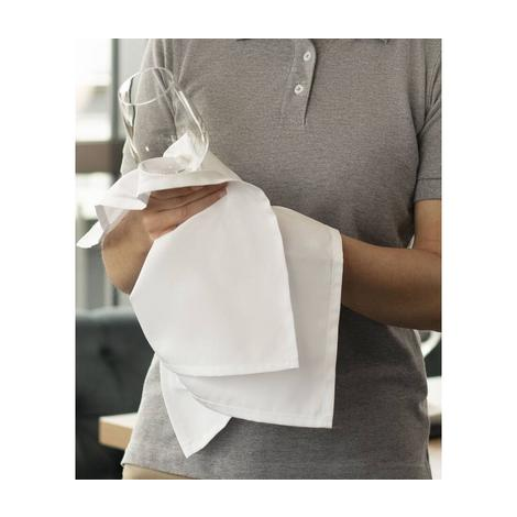 Unicoloured dish and cleaning cloth (10 Pack)-KARLOWSKY