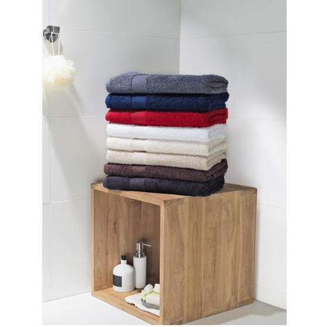 Serviette de toilette 100*50 550 SG TOWELS