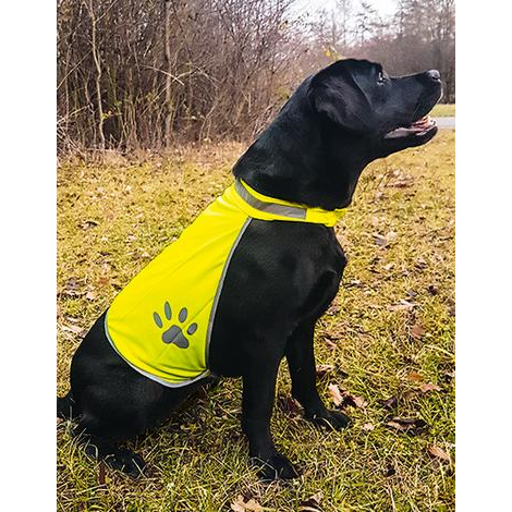 Safety Vest for Dogs-KORNTEX