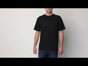 youtube - [Video]