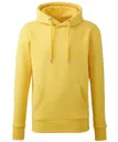 Sweat à capuche Homme Anthem