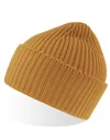 Oak Beanie-ATLANTIS