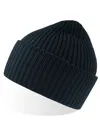Oak Beanie-ATLANTIS