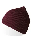 Andy Beanie-ATLANTIS