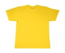 T-shirt LIBERTEE 150 - COLORS