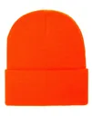 YP Classics Thinsulate Cuffed Beanie-Flexfit