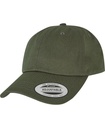 Classics Dad Cap-FLEXFIT