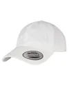 Ecowash Dad Cap-FLEXFIT