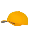 Fitted Baseball Cap-FLEXFIT