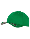 Fitted Baseball Cap-FLEXFIT