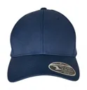 Flexfit 110 Curved Visor Snapback-FLEXFIT