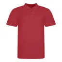 The 100 Polo-AWDIS Just Polos