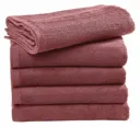 Ebro Guest Towel 30X50Cm-SG TOWELS