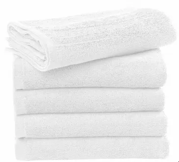 Ebro Guest Towel 30X50Cm-SG TOWELS