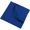 Bandana promo DAIBER
