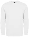 UNISEX SWEATER-Exxcd By Promodoro