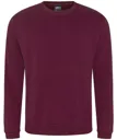 Pro sweatshirt-ProRTX