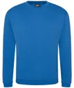 Pro sweatshirt-ProRTX