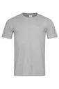 Classic-T Fitted-STEDMAN