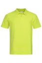 Polo Homme STEDMAN 170