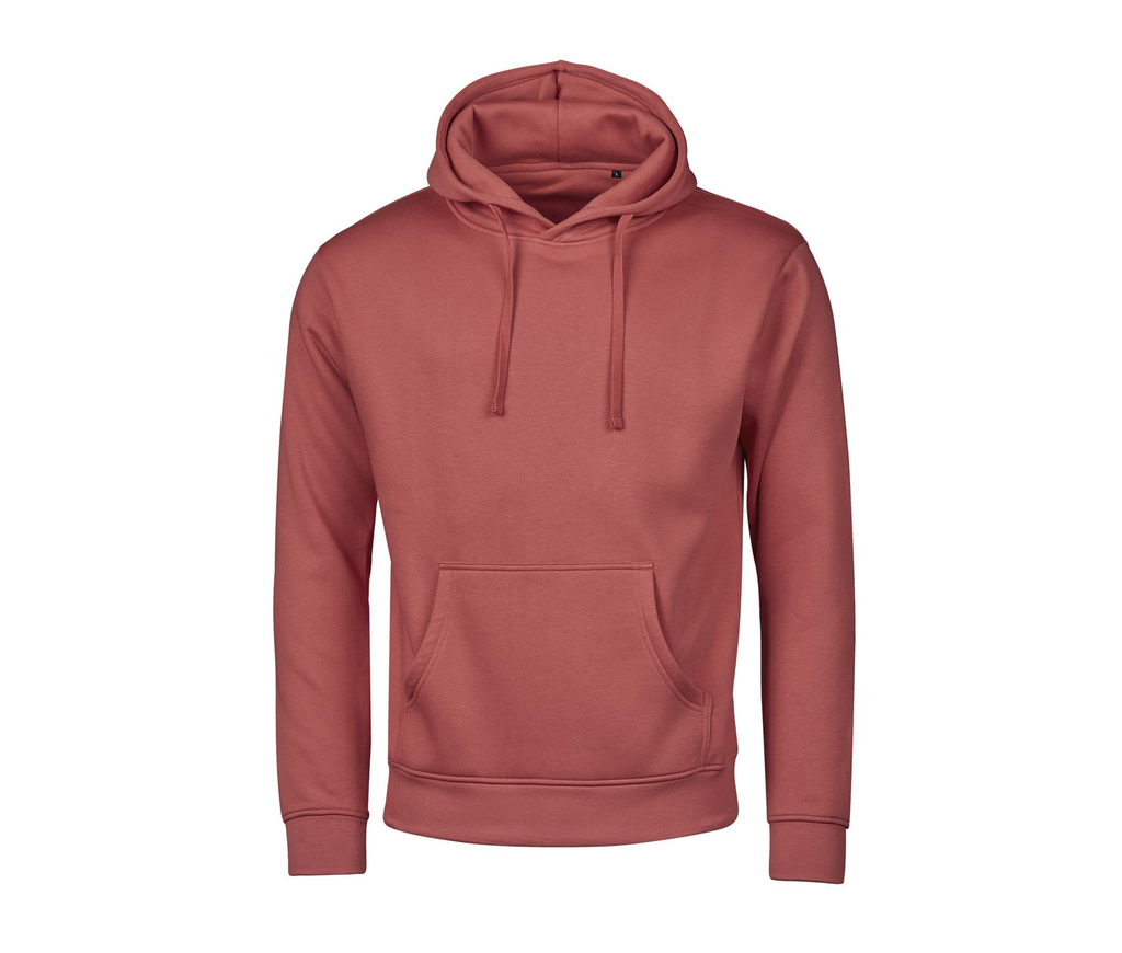 Sweat à capuche urbain no label Homme TEE JAYS