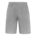 ICONIC 250 SHORTS FRUIT OF THE LOOM