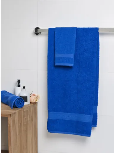 Serviette de toilette 100*50 350 SG TOWELS