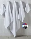 Ebro Guest Towel 30X50Cm-SG TOWELS