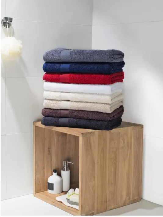 Serviette de toilette 100*50 550 SG TOWELS