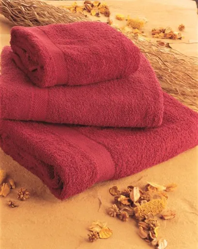 [TC06] Drap de plage 100x150 550 - TOWEL CITY